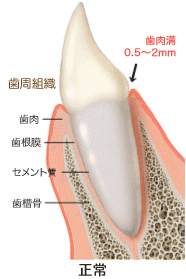 健康な状態